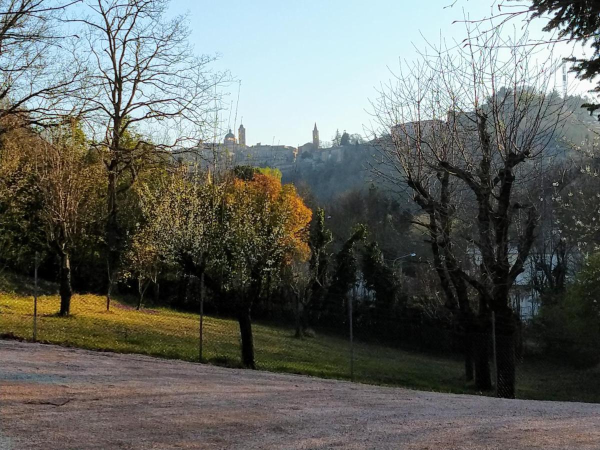 B&B Il Torchio-Urbino Ngoại thất bức ảnh